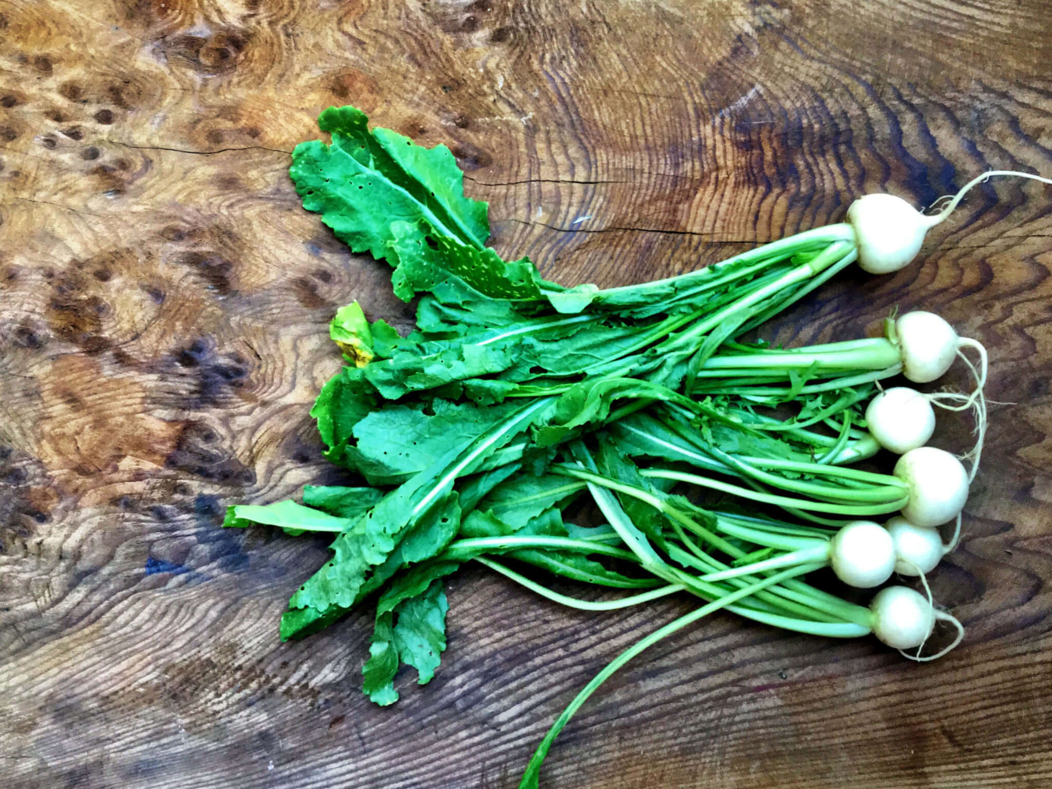 Baby Turnips Bonterra Organic Vineyards