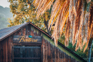 Bonterra Barn at McNab Ranch